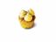 Picture of TC 2.5" Flourless Lemon Poppy seed