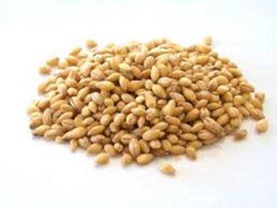Picture of Barley, Pearl 1kg