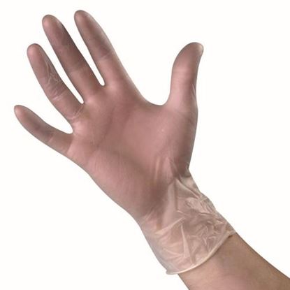 Picture of Gloves, Vinyl Clear Dposable -Large (10)