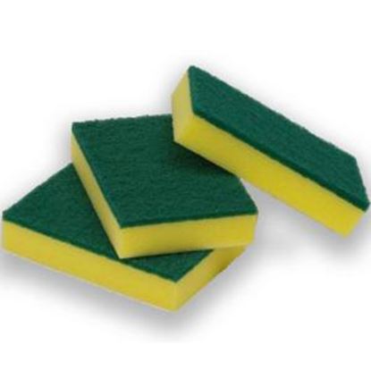 Picture of Scourers, Green/Gold Pk (10)