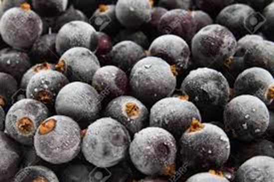 Picture of Frozen, Black Currants 1Kg