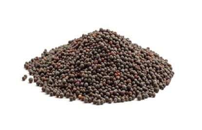 Picture of Seed, Mustard Brown 1kg