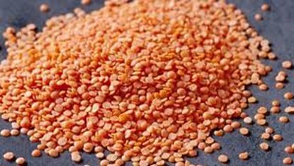 Picture of Lentils, Red 1Kg
