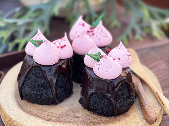 Picture of SBN XMAS Vegan Choc Berry Puddings