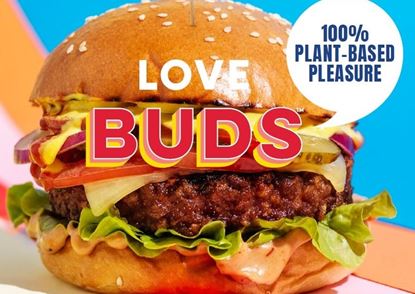Picture of Vegan Buds Burger 4x125g (9)