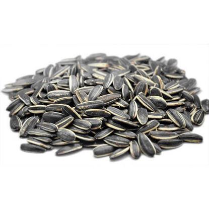 Picture of Sunflower Seeds, 10Kg