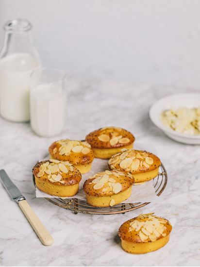 Picture of SBN Friands- Orange, Chia Poppyseed GFR