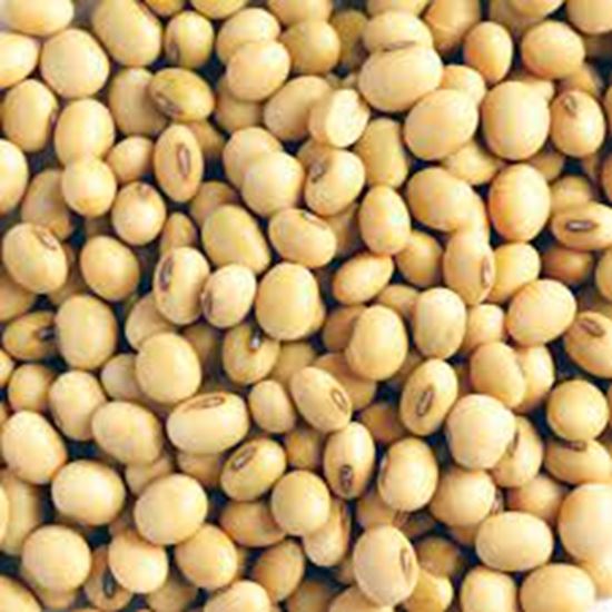 Picture of Beans, Soya Organic 1Kg