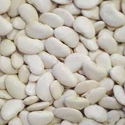 Picture of Beans, Lima 1Kg