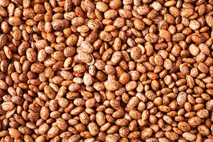 Picture of Beans, Pinto 1Kg