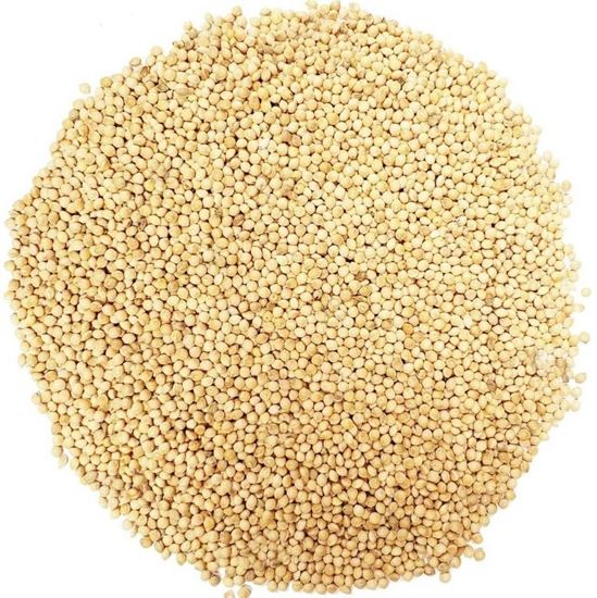 Picture of Seed, Millet 1Kg