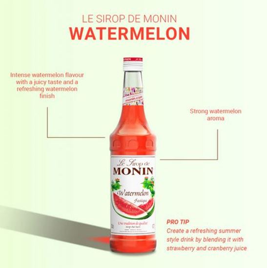 Picture of Monin Syrup - Watermelon 700ml (6)