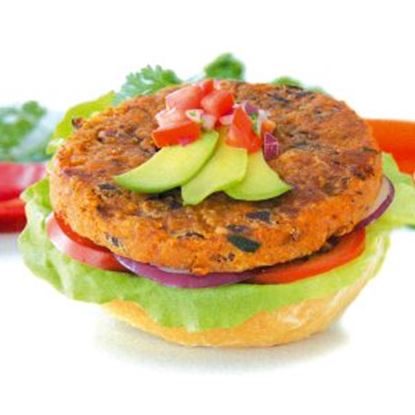 Picture of Burger, Spicy Bean Quin 24x100g - Birubi
