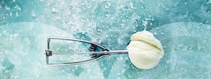 Picture of Ice Cream, Chef Crafted 10L - Everest