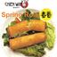 Picture of Spring Rolls, 24 pack - Chein Wah