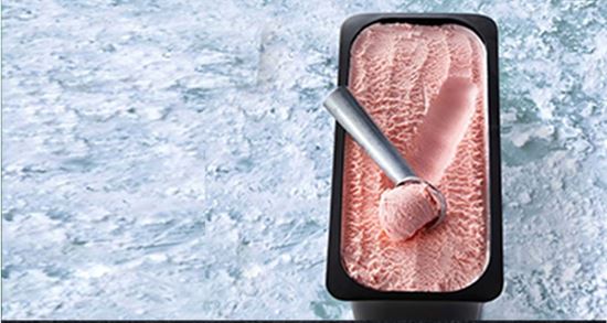 Picture of Ice Cream, Strawberry 10L - Everest