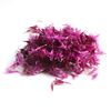 Picture of Petite: AUST Cornflow Pink - Jar 4g (12)