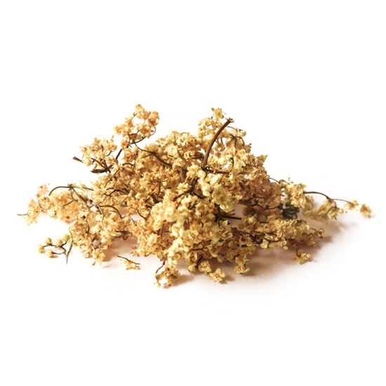 Picture of Petite: AUST Elderflower BULK 25g (12)