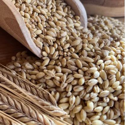 Picture of Barley, Pearl 5kg (BULK)