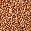 Picture of Beans, Pinto 25Kg (BULK) Canadian