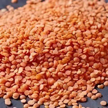 Picture of Lentils, Red 1Kg