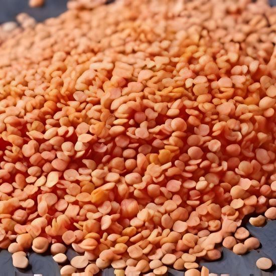 Picture of Lentils, Red 25Kg