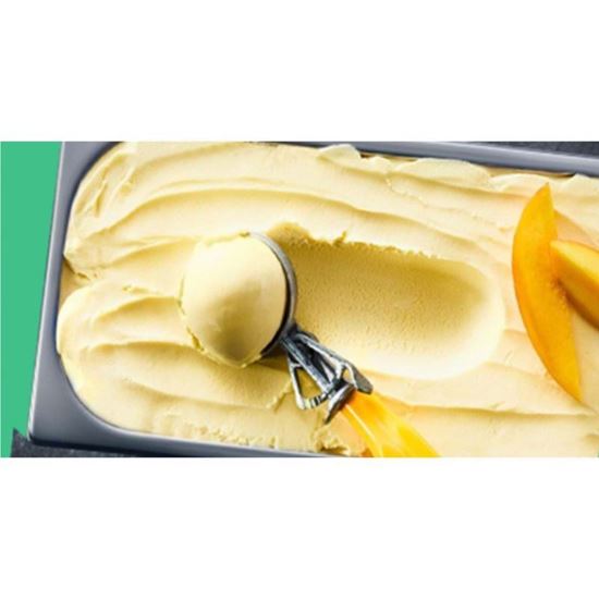 Picture of Sorbet, Mango 5L