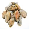 Picture of Mussel, Meat 1Kg - Talley