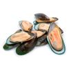 Picture of Mussel, Shell 1Kg - Talley