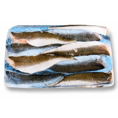 Picture of Whiting, Fillets Skin/On 4/6Oz 5Kg