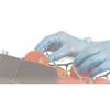 Picture of Gloves, Vinyl Blue Disposable - XL (10)