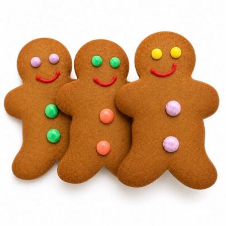 Picture for category Hosome Gingerbread